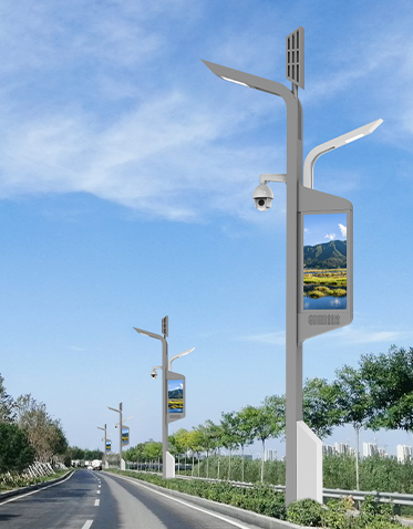 智慧路灯ZX-ZHLD030