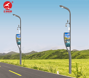 智慧路灯ZX-ZHLD032