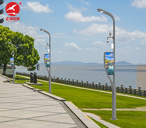 智慧路灯ZX-ZHLD032