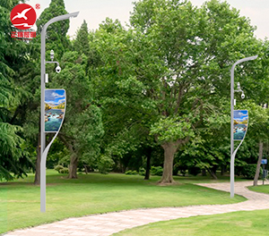 智慧路灯ZX-ZHLD032