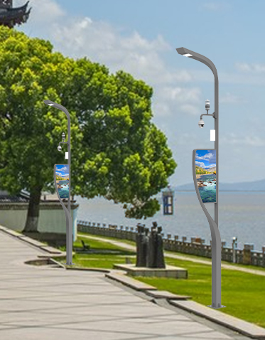 智慧路灯ZX-ZHLD032