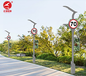 智慧路灯ZX-ZHLD037