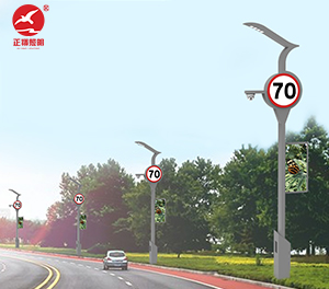 智慧路灯ZX-ZHLD037