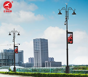 智慧路灯ZX-ZHLD038