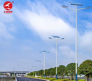 LED太阳能路灯ZX-LD107