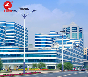 LED太阳能路灯ZX-LD110