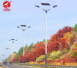 LED太阳能路灯ZX-LD110