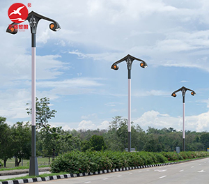 LED景观灯ZX-JGD153 LED景观灯ZX-JGD153