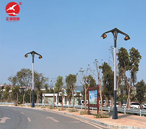 LED景观灯ZX-JGD153 LED景观灯ZX-JGD153