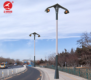 LED景观灯ZX-JGD153 LED景观灯ZX-JGD153