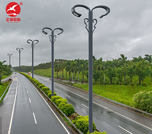 LED景观灯ZX-JGD154 LED景观灯ZX-JGD154