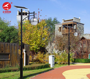 LED庭院灯ZX-TYD144