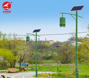 LED庭院灯ZX-TYD149