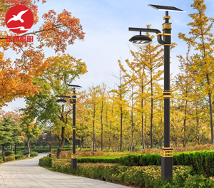 LED庭院灯ZX-TYD151 LED庭院灯ZX-TYD151