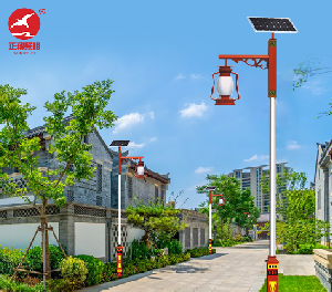 LED庭院灯ZX-TYD153 LED庭院灯ZX-TYD153