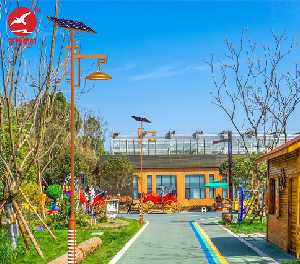 LED庭院灯ZX-TYD154 LED庭院灯ZX-TYD154