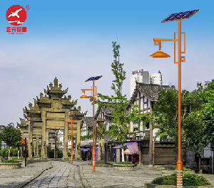 LED庭院灯ZX-TYD154 LED庭院灯ZX-TYD154