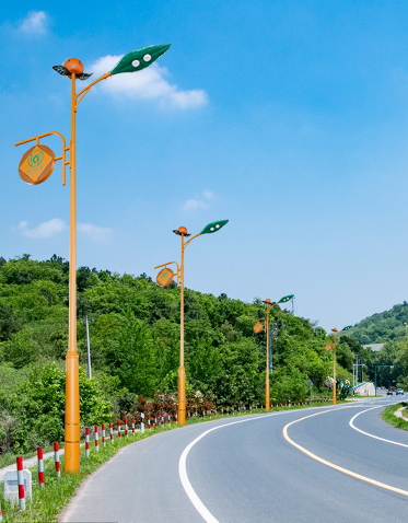 LED市电路灯ZX-LD100 LED市电路灯ZX-LD100