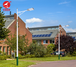 LED市电路灯ZX-LD102