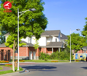 LED市电路灯ZX-LD103