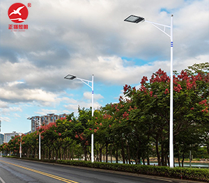 LED市电路灯ZX-LD103