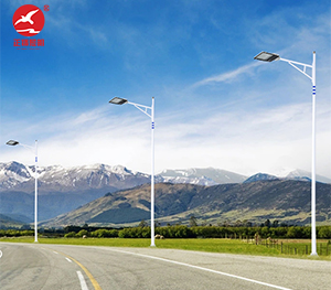 LED市电路灯ZX-LD103