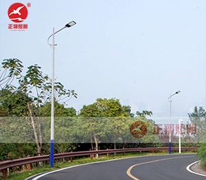 LED市电路灯ZX-LD104 LED市电路灯ZX-LD104