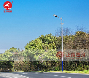 LED市电路灯ZX-LD104 LED市电路灯ZX-LD104