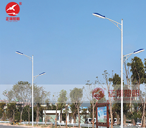 LED市电路灯ZX-LD105 LED市电路灯ZX-LD105