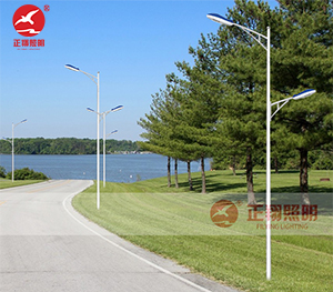 LED市电路灯ZX-LD105 LED市电路灯ZX-LD105