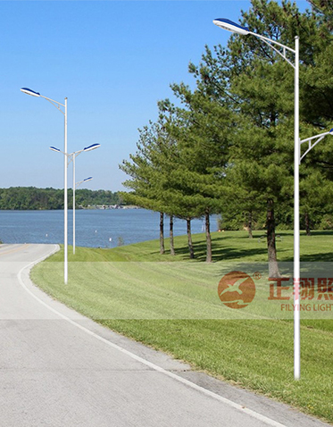 LED市电路灯ZX-LD105 LED市电路灯ZX-LD105