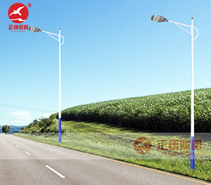 LED市电路灯ZX-LD106 LED市电路灯ZX-LD106