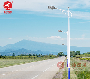 LED市电路灯ZX-LD106 LED市电路灯ZX-LD106