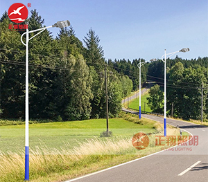 LED市电路灯ZX-LD106 LED市电路灯ZX-LD106