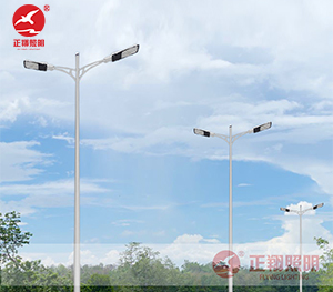 LED市电路灯ZX-LD107 LED市电路灯ZX-LD107