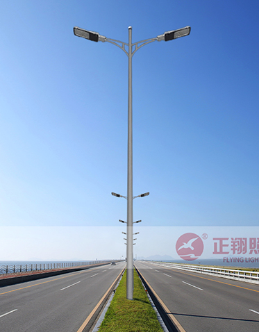 LED市电路灯ZX-LD107 LED市电路灯ZX-LD107