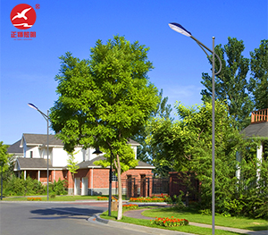 LED市电路灯ZX-LD108 LED市电路灯ZX-LD108