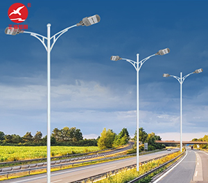 LED市电路灯ZX-LD109 LED市电路灯ZX-LD109