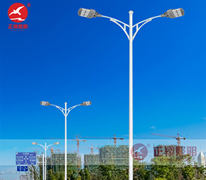 LED市电路灯ZX-LD109 LED市电路灯ZX-LD109