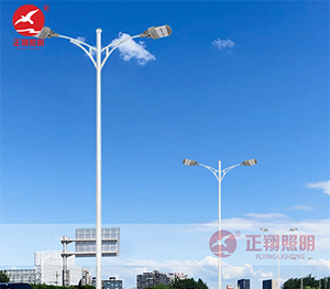 LED市电路灯ZX-LD109 LED市电路灯ZX-LD109