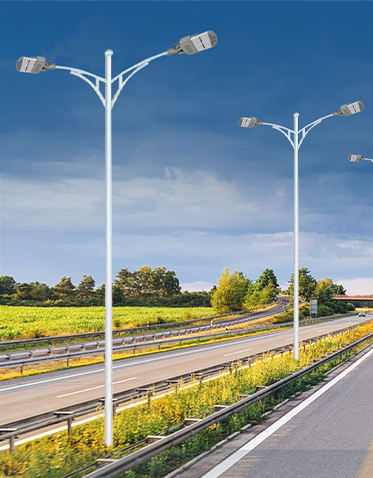 LED市电路灯ZX-LD109 LED市电路灯ZX-LD109