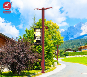 智慧路灯ZX-ZHLD054