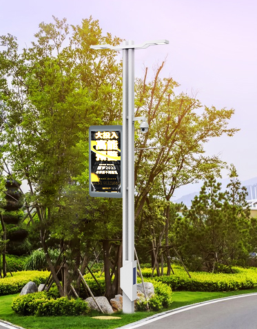 智慧路灯ZX-ZHLD054