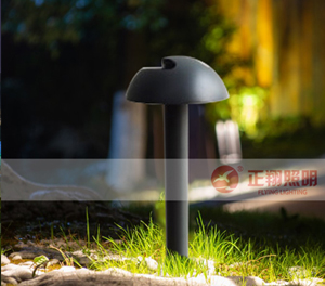 LED草坪灯ZX-CPD110