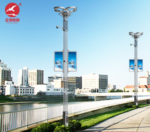 智慧路灯ZX-ZHLD058