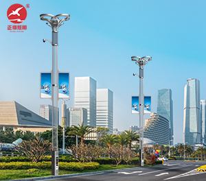 智慧路灯ZX-ZHLD058