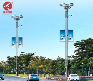 智慧路灯ZX-ZHLD058