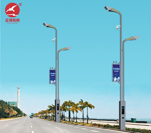 智慧路灯ZX-ZHLD062