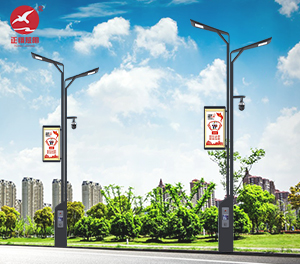 智慧路灯ZX-ZHLD063 智慧路灯ZX-ZHLD063
