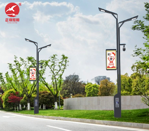 智慧路灯ZX-ZHLD063 智慧路灯ZX-ZHLD063